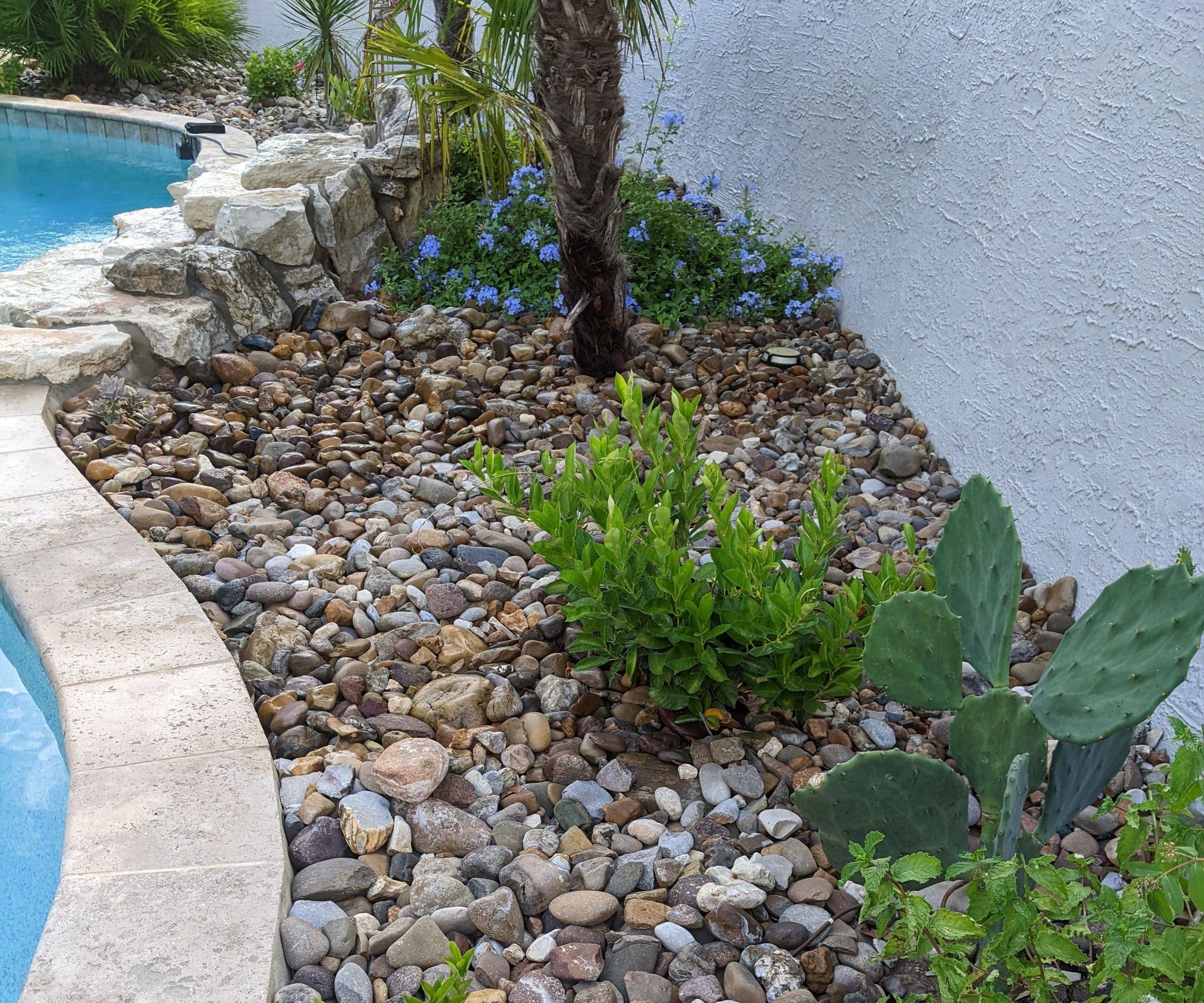 Drip Irrigation and How to Hide Your Manifolds: Bonus How to Find Your Drip Manifolds After Someone Hid Them