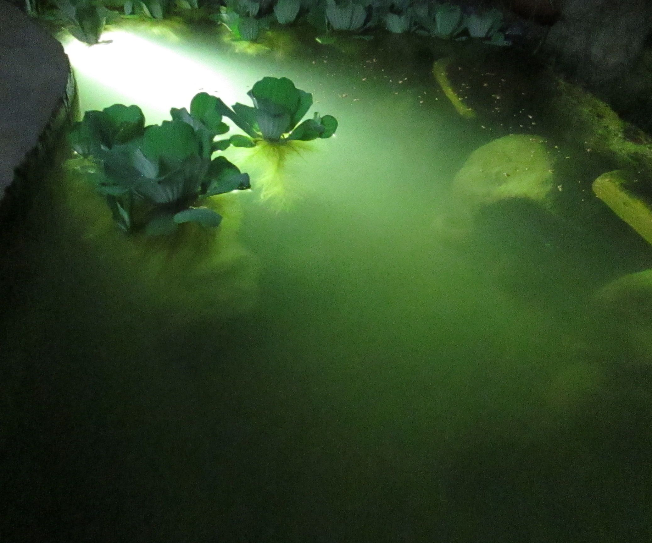 SUBMERSIBLE LED LIGHTS MODULES 