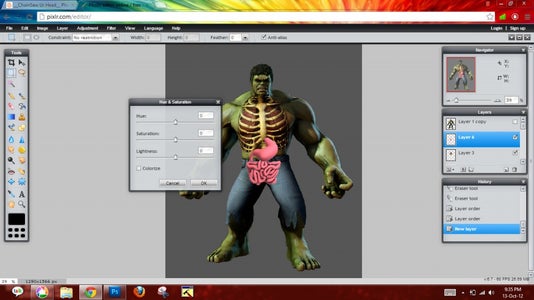 Stomach + Intestines