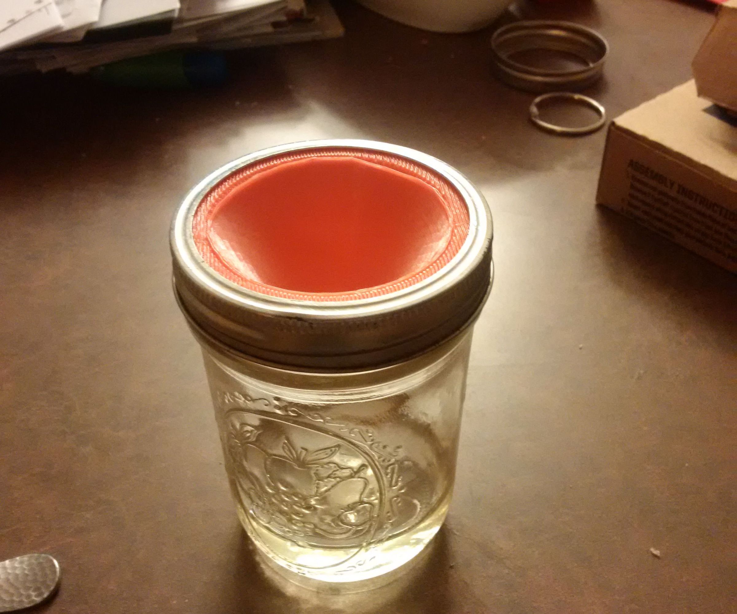 Fruit Fly Trap