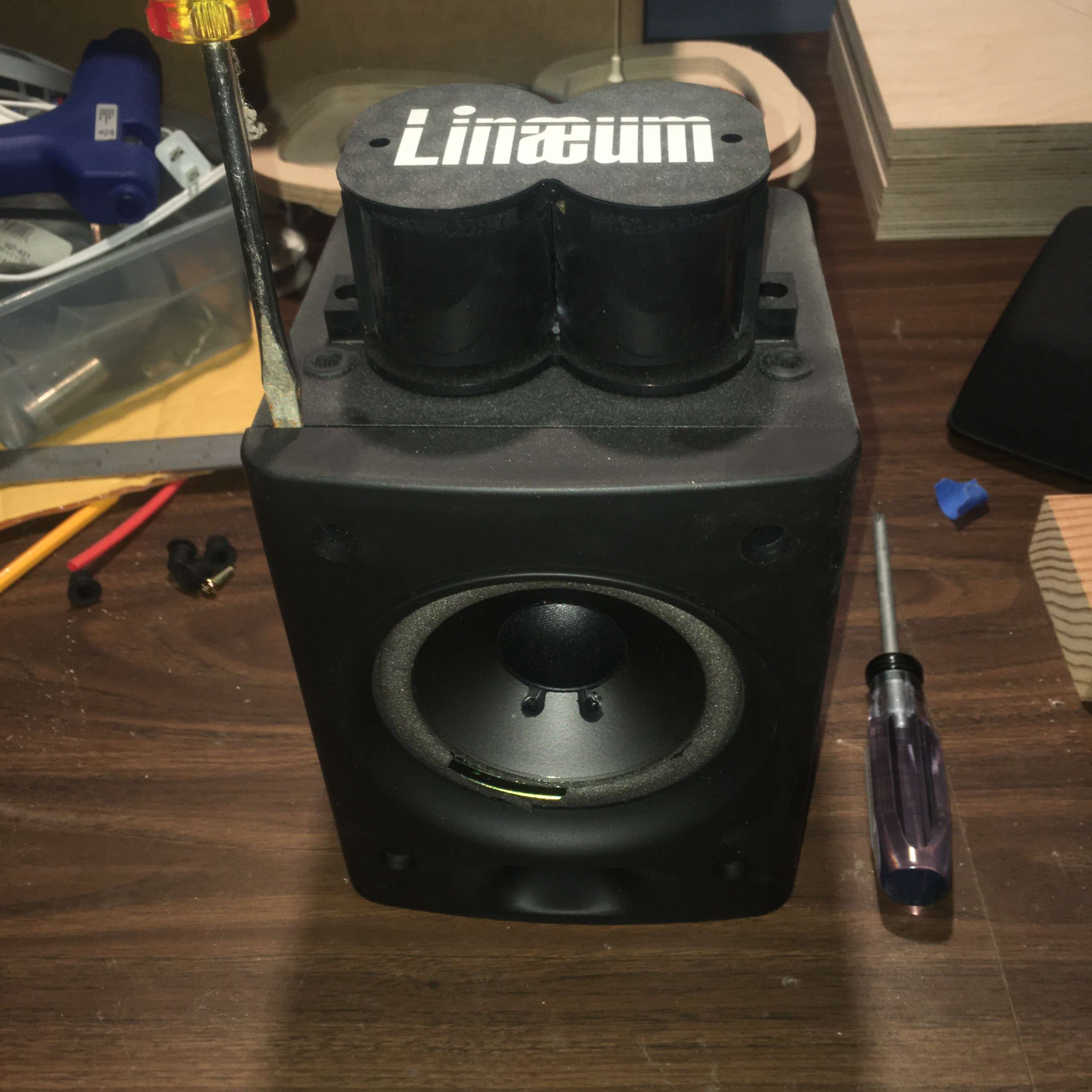 Upgrading a Linaeum Bookshelf Speaker : 5 Steps - Instructables