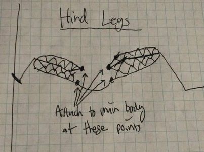 Build a Realistic Insect From Wire : 5 Steps (with Pictures ...