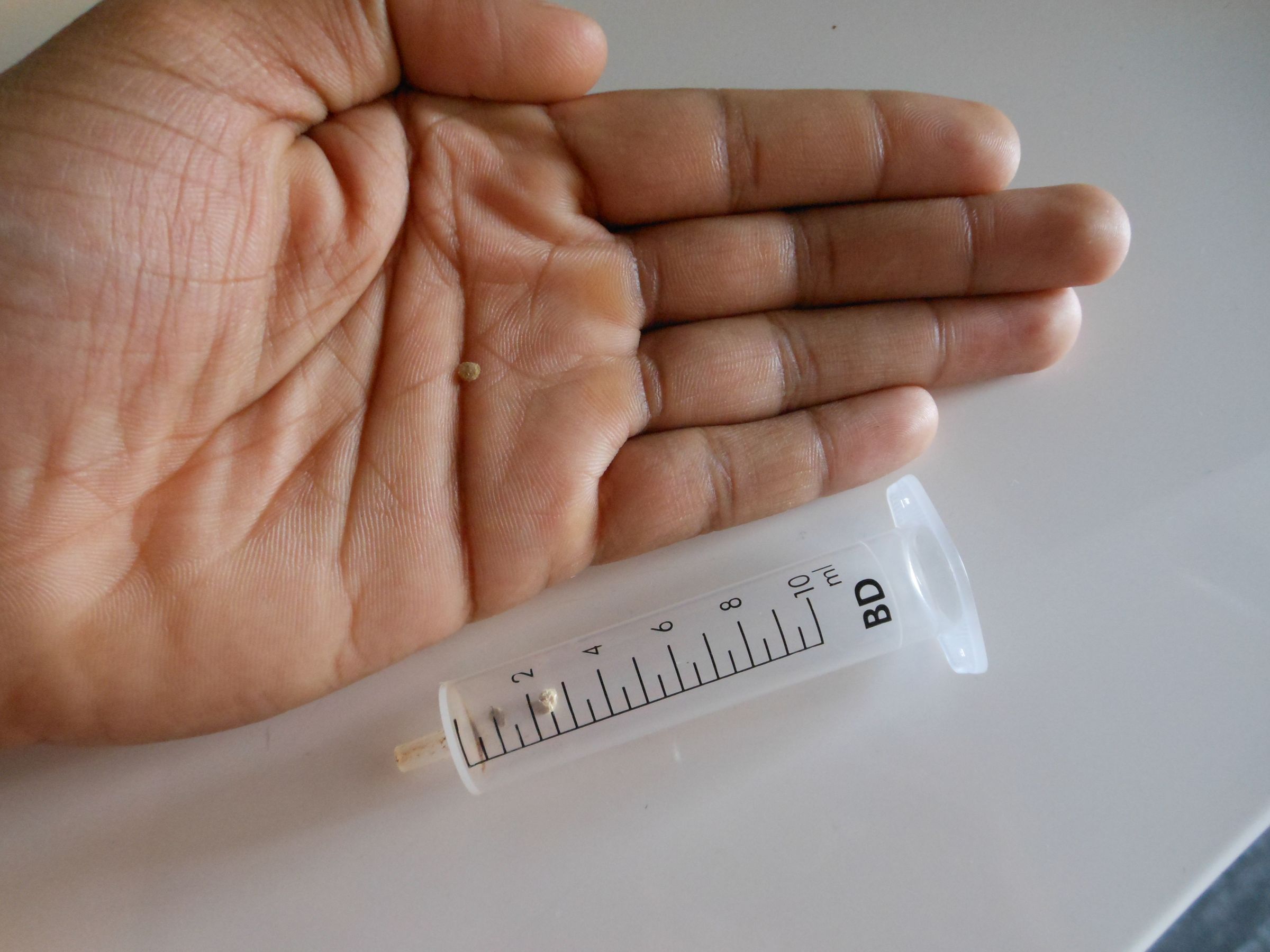 Plant in a Syringe