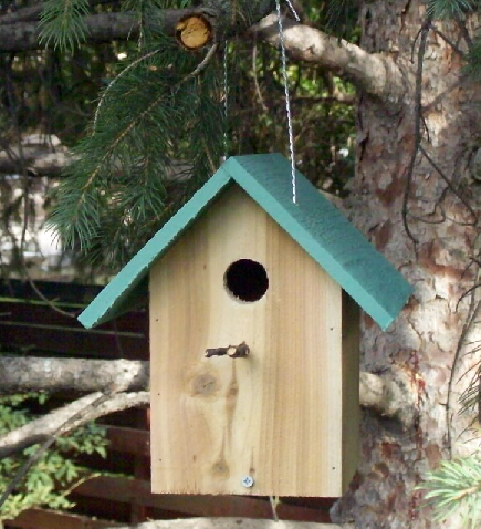 Building the $2 Birdhouse