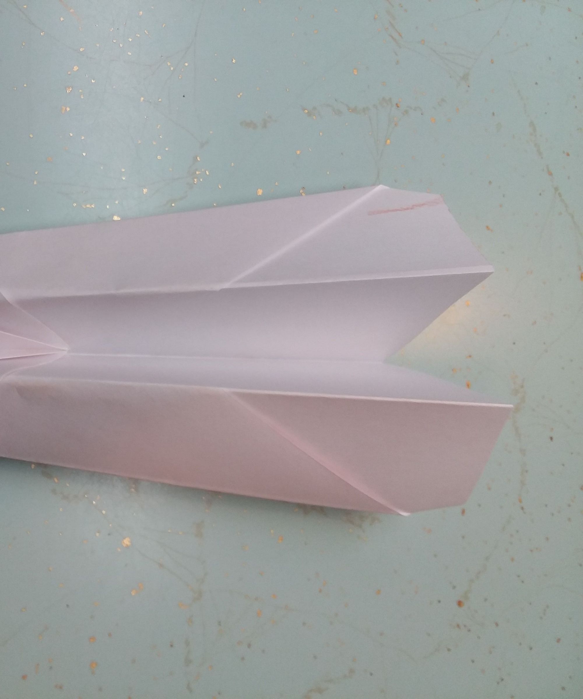 Penguin Plane