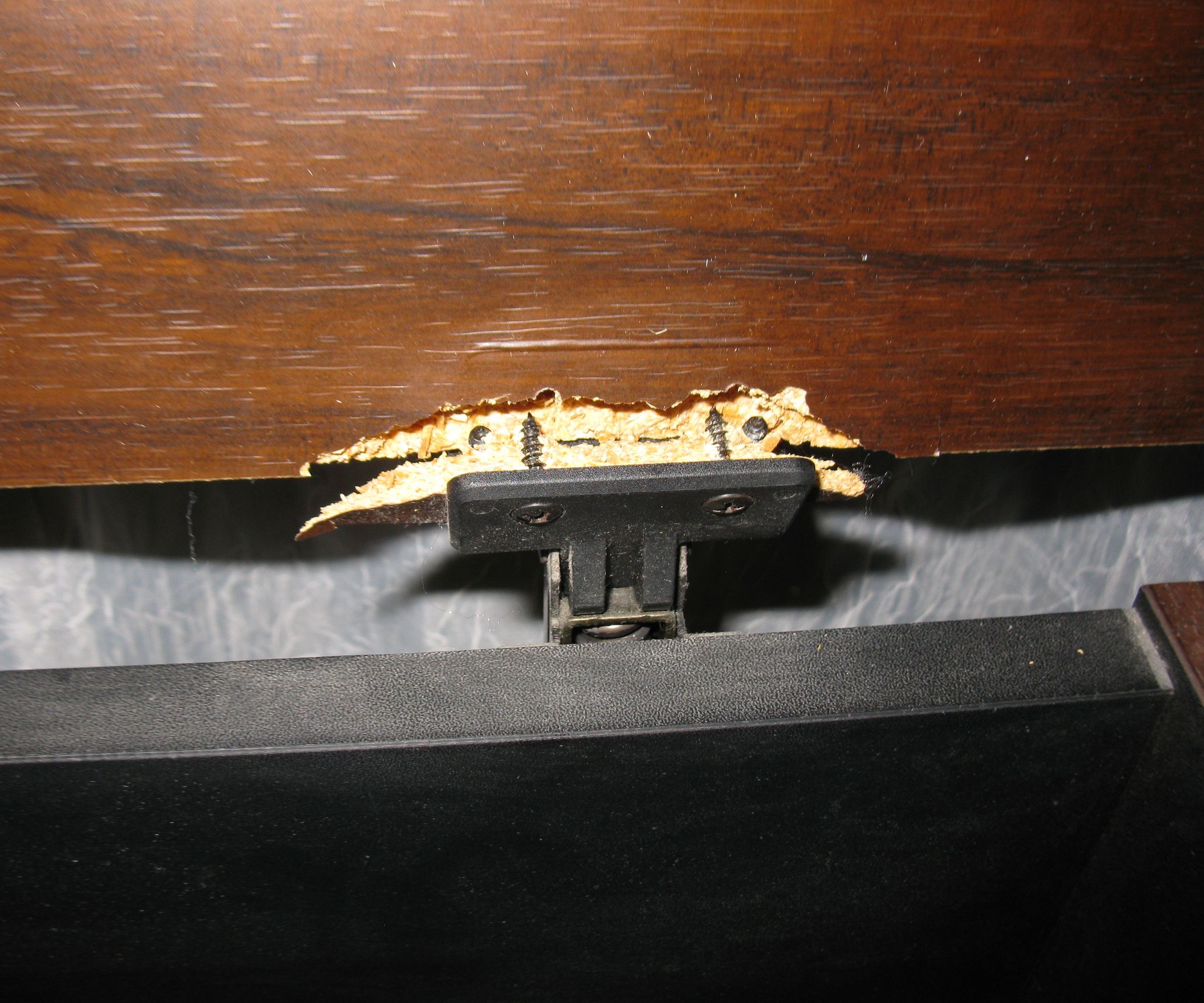 Hinge Mount Tear Out Repair