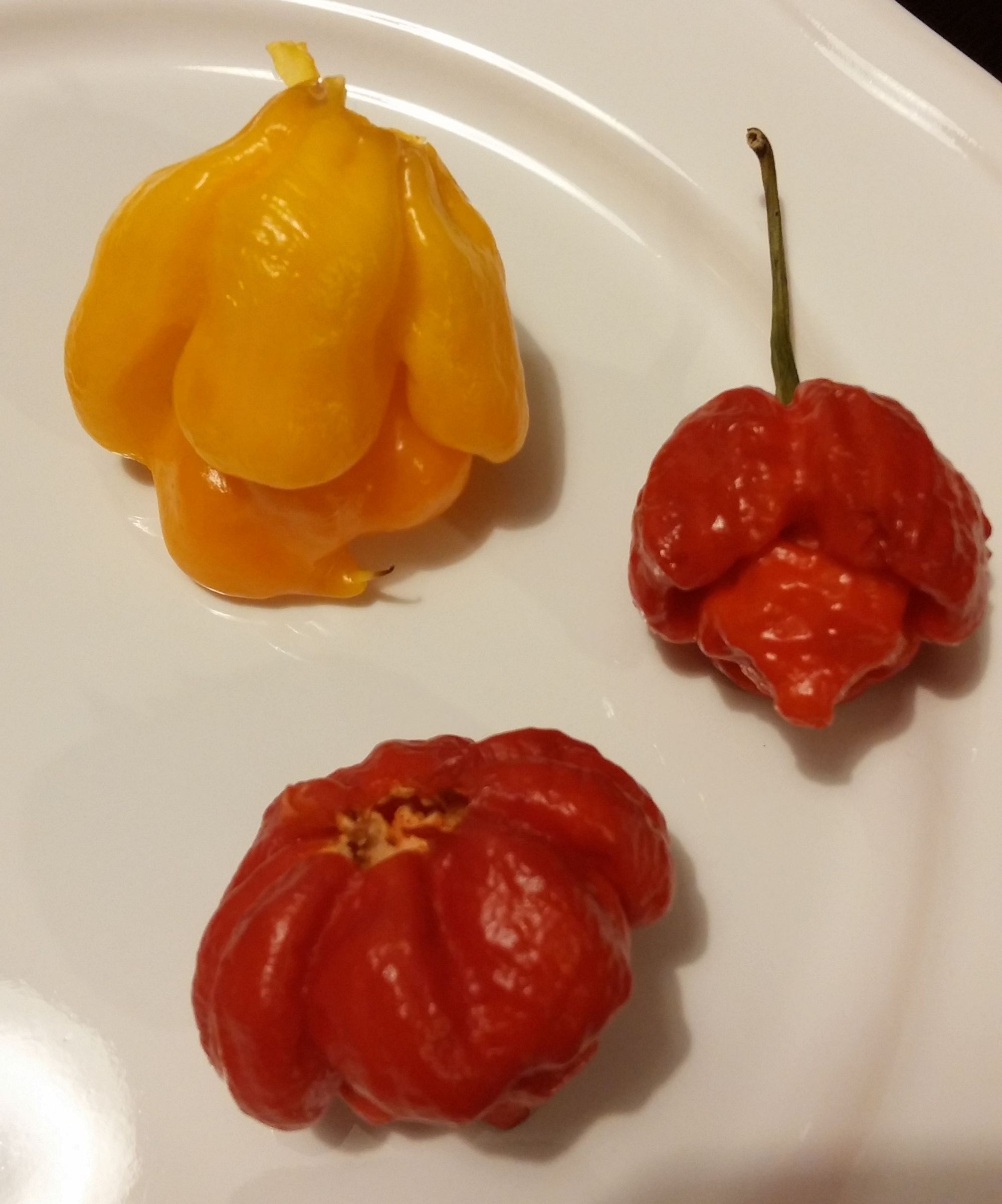 Hot Pepper Powder Mix