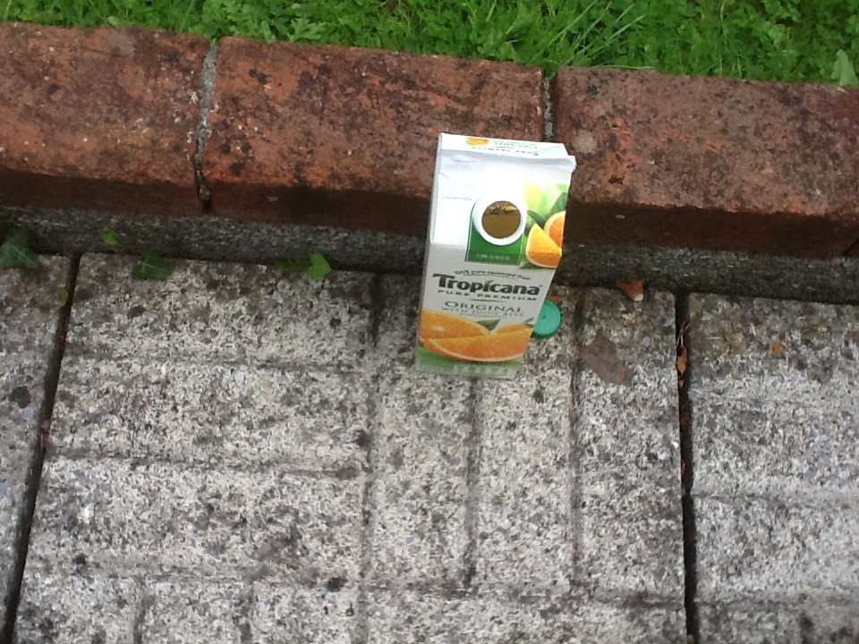 Juice Carton Wasp Trap!