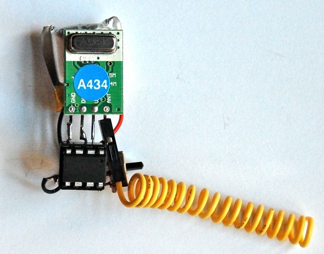 Canine Radio Direction Finder - Part 1