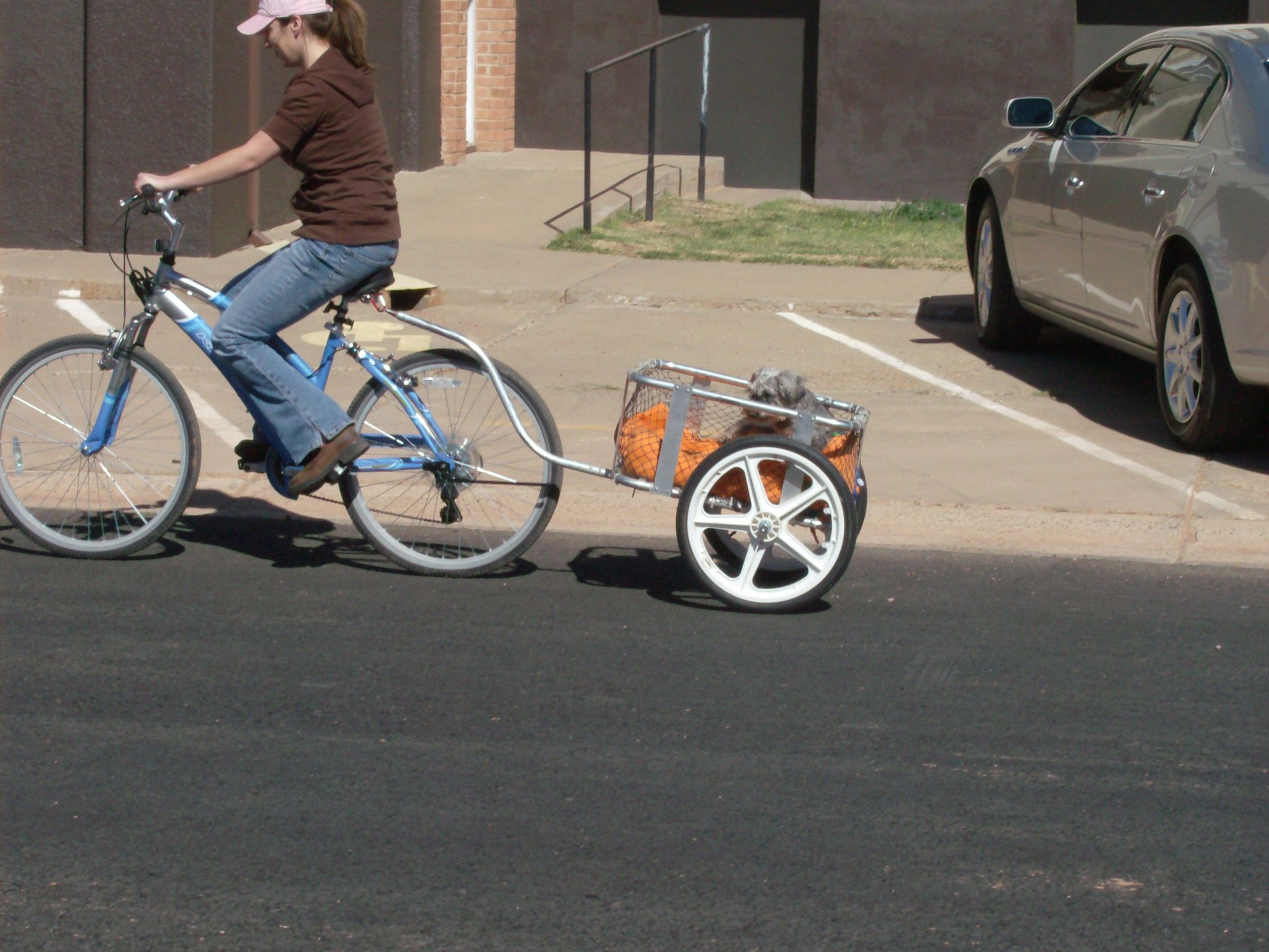 Bicycle Cart From Recycled Camp Cot