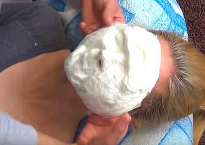 It's Very Easy to Make a Face Copy!