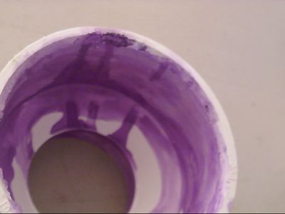 Purple Primer!