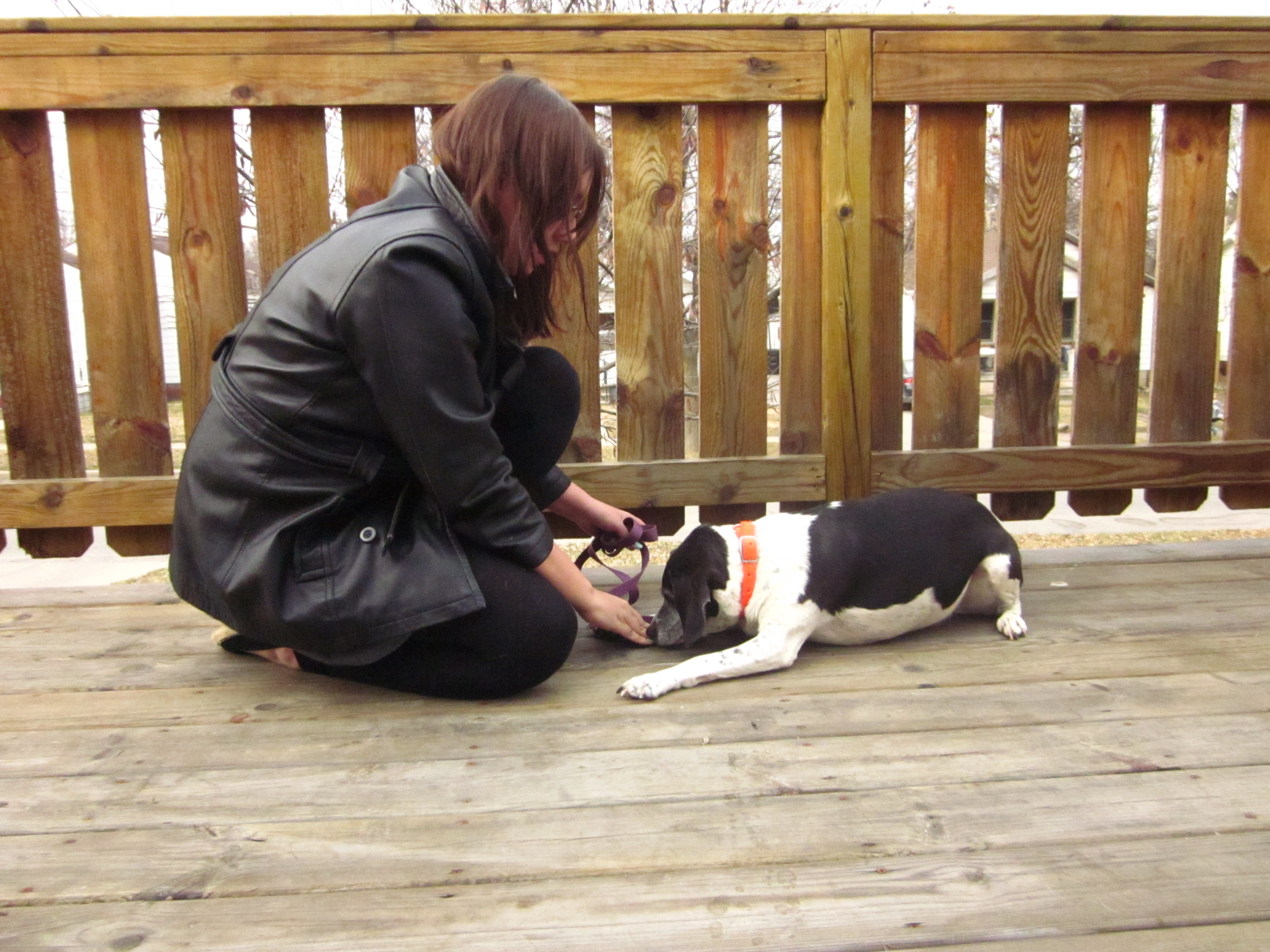 Basic Obedience Training for Dogs 6 Steps (with Pictures) Instructables