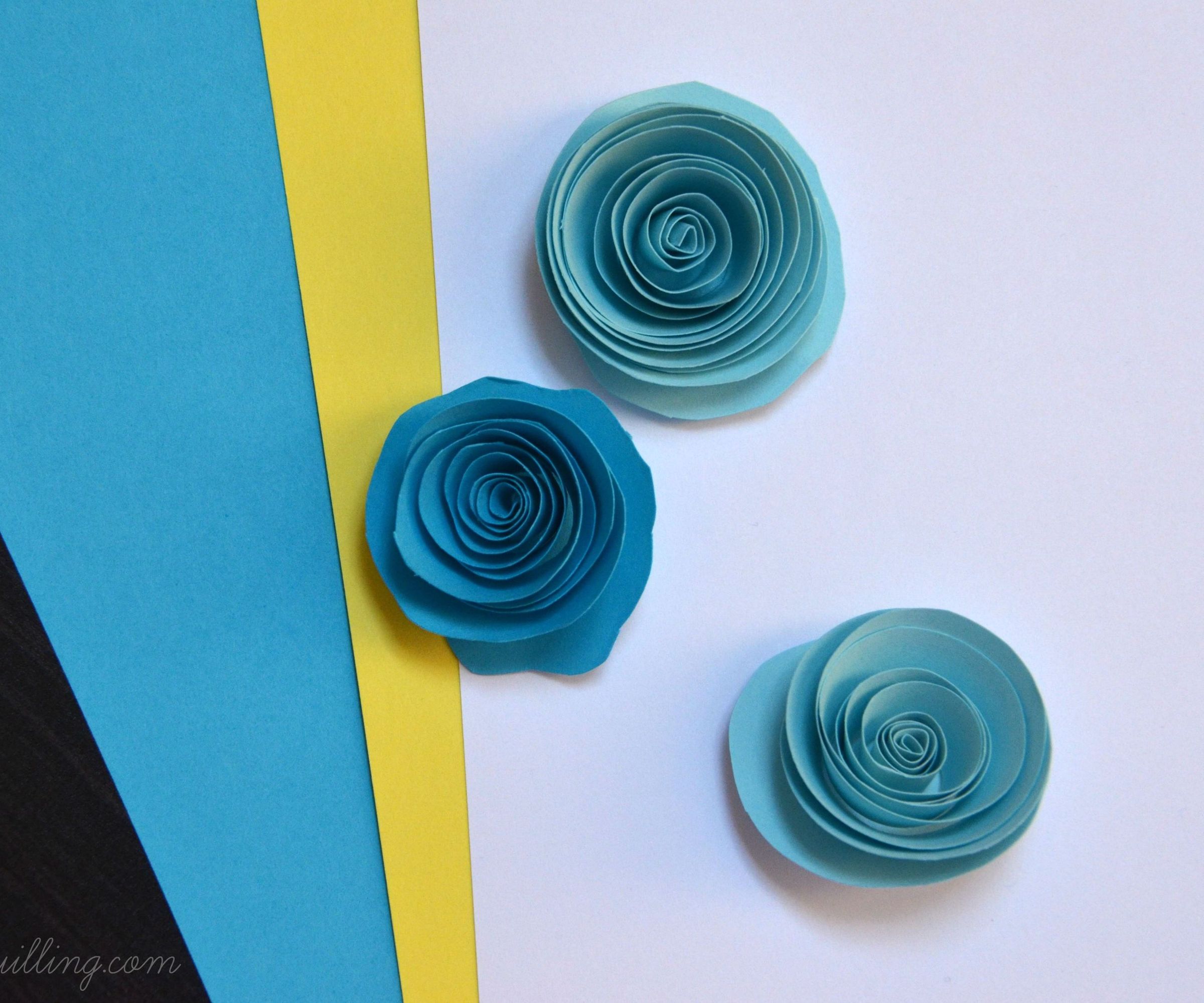 Paper Quilling Roses