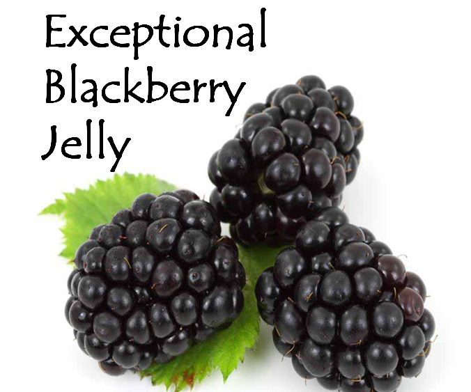 Exceptional Blackberry Jelly