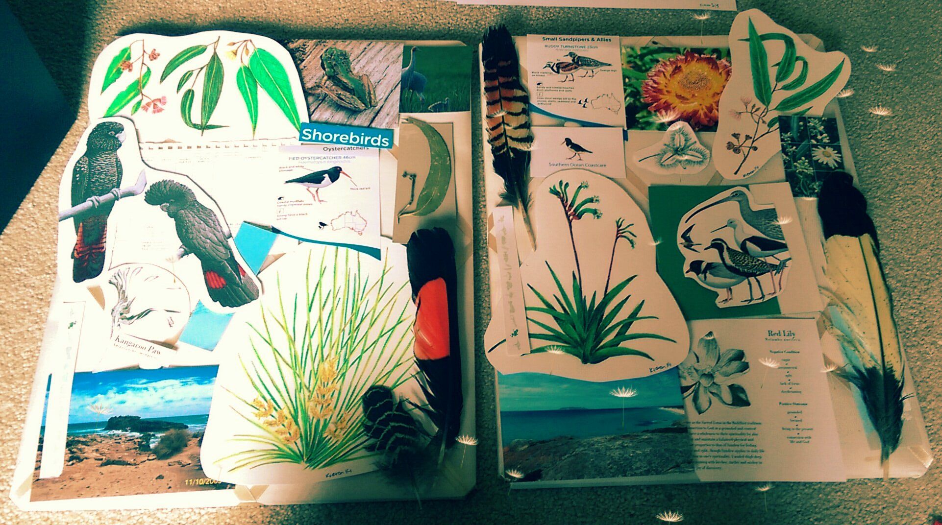 Personal Memory Board