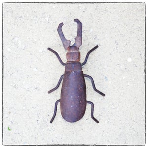 Junk Yard Beetles