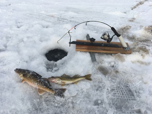 Auto Fisherman Hook Setter : 8 Steps (with Pictures) - Instructables