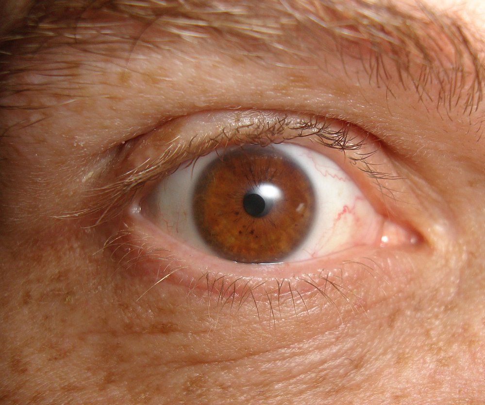 Diffuser Flash to Compact Camera