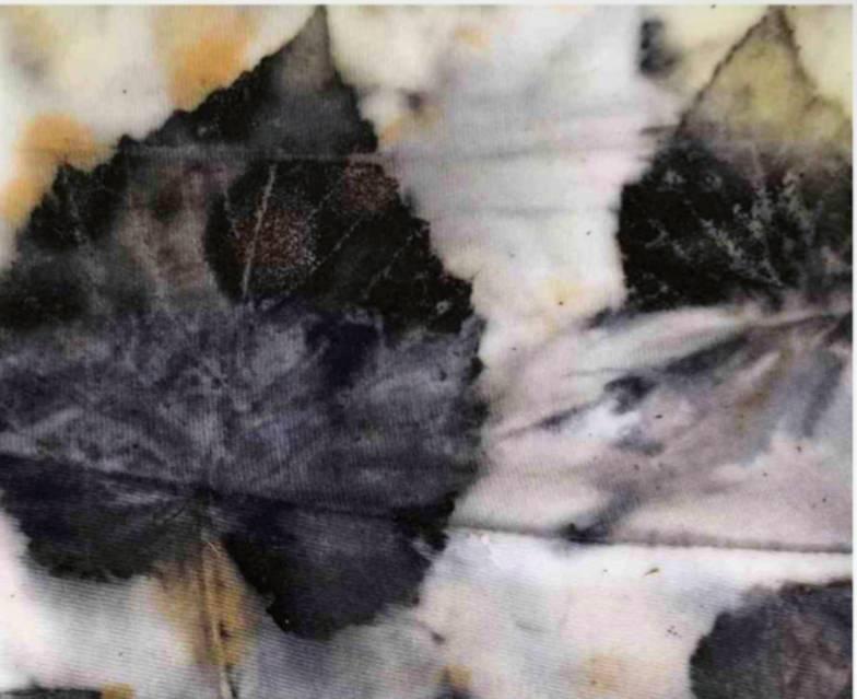 Eco Printing Tips and Tricks for Success (Free Download!)