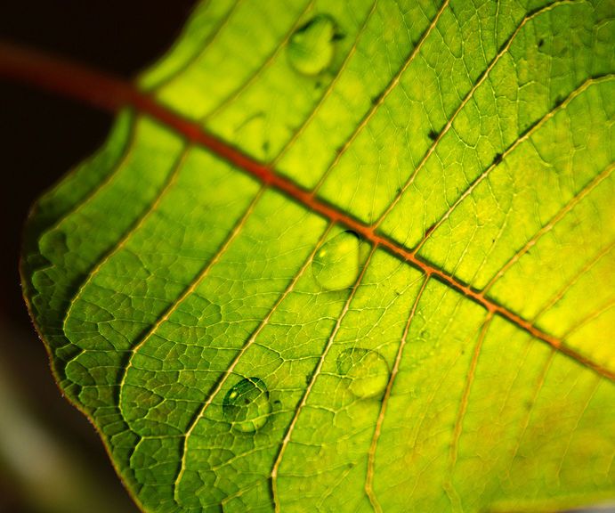 Create HD Rain Water Drops in Photoshop