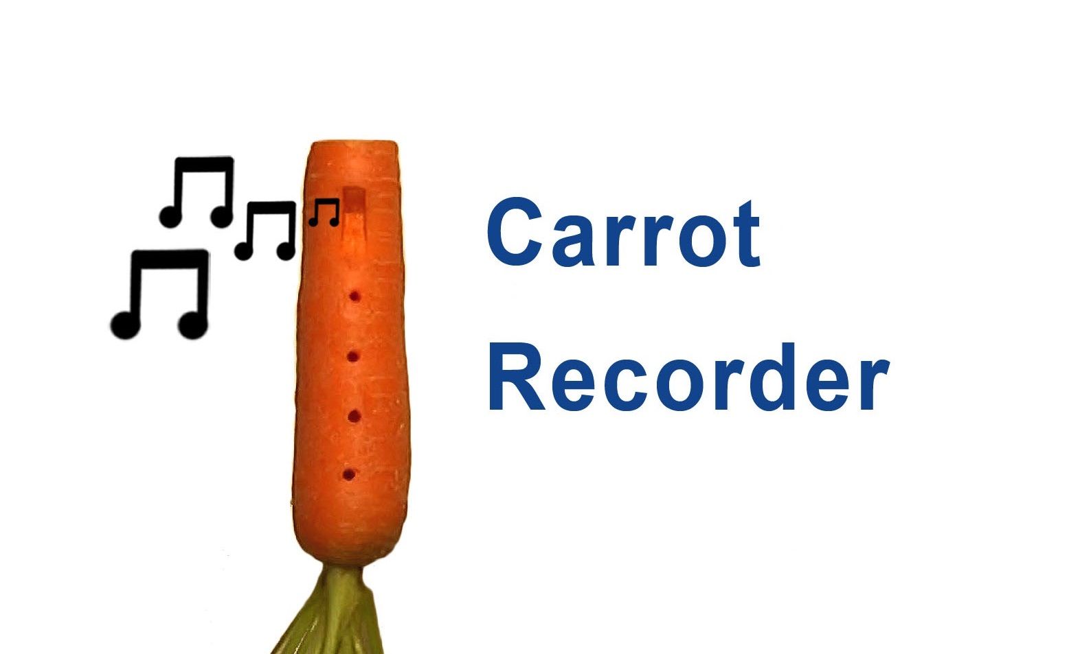 How to Make a Carrot Recorder Ocarina