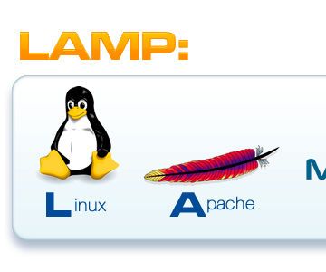 Super Fast LAMP Install on CMD Line Linux