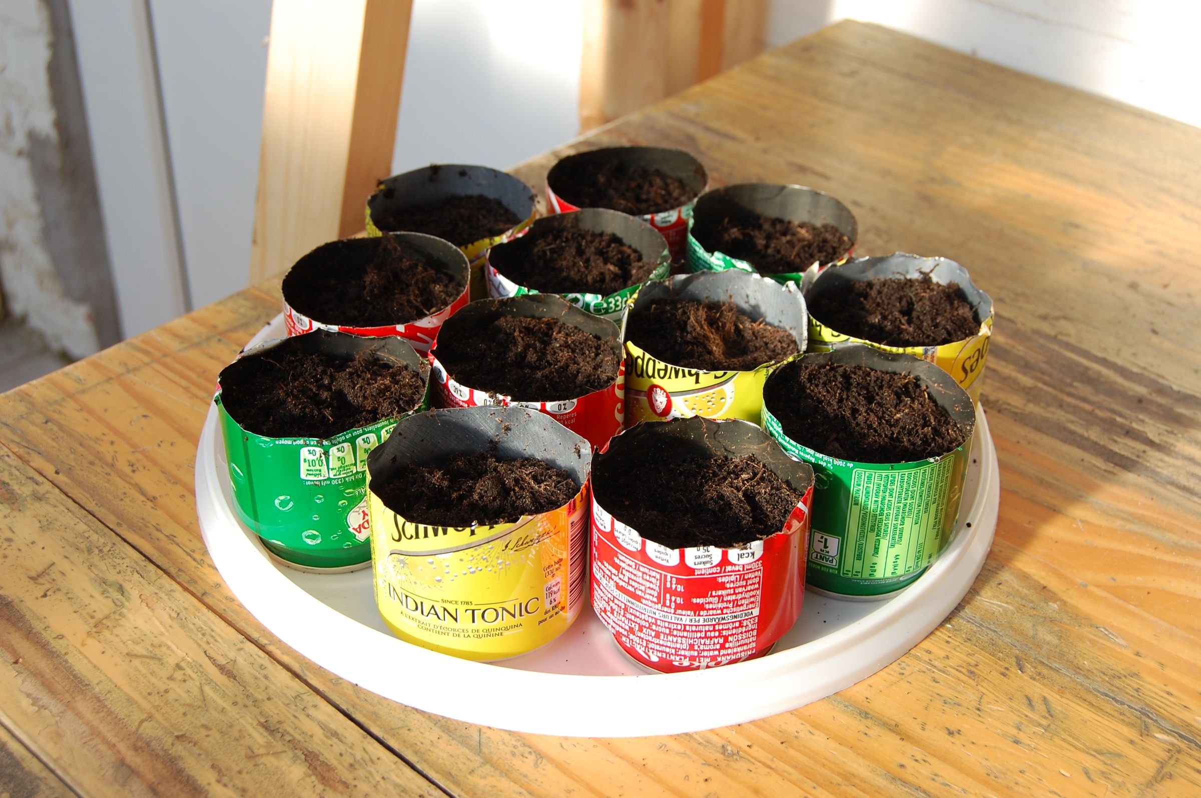 Soda Can Seedling Container