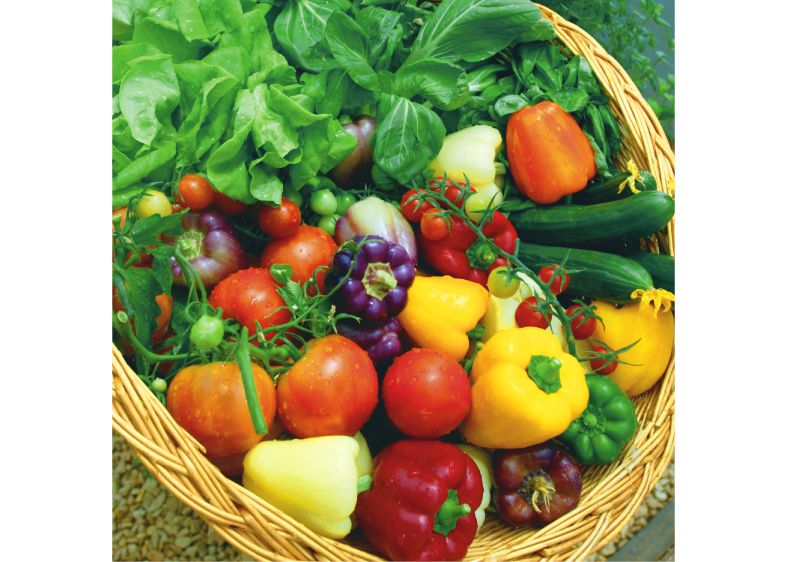 Cheap Window Sill Hydroponics System