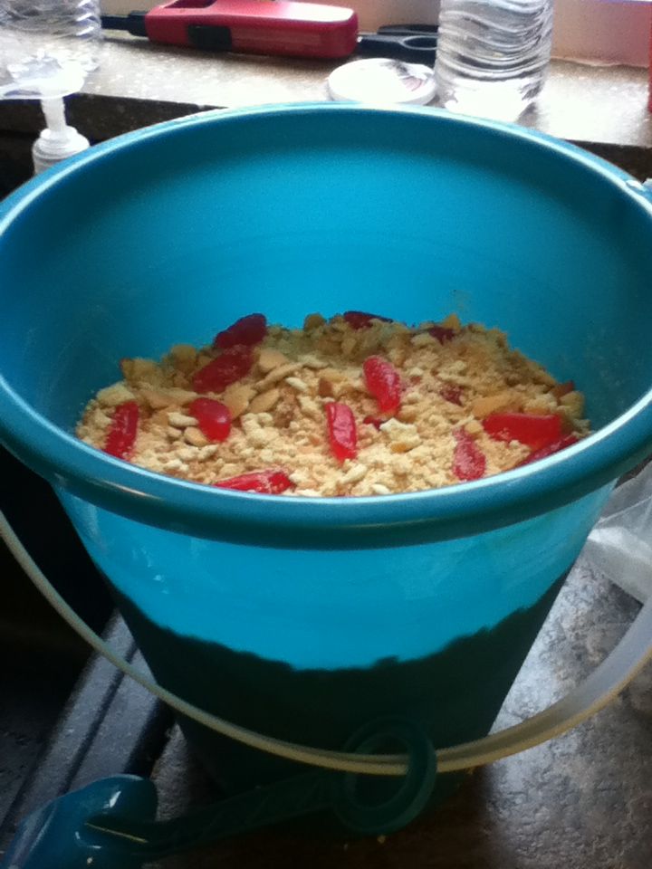 Bucket of Sand Treat