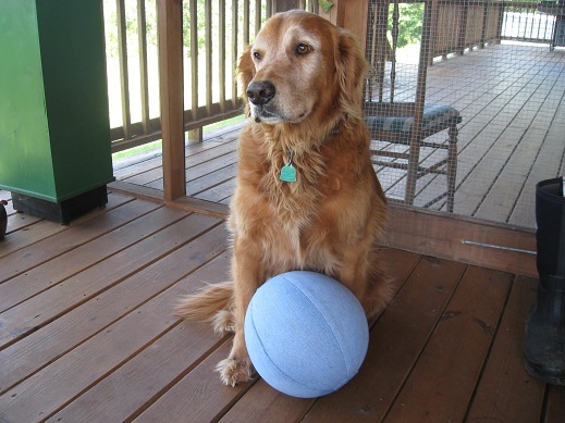 Recycled Blue Jean Ball