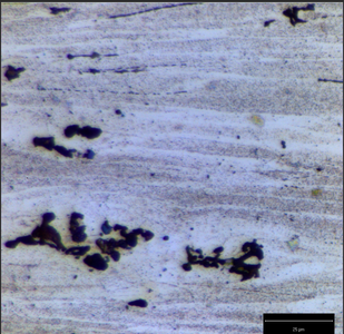 Final Analysis Before Final Test