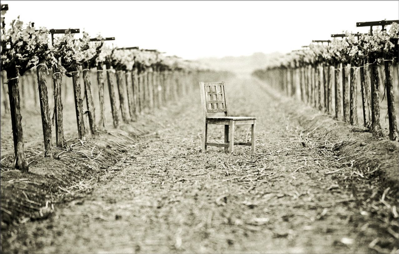 Creating Successful Photographs - Fine Art