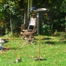 Squirrel Proof Bird Feeder