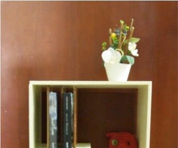 Bookshelf X Table