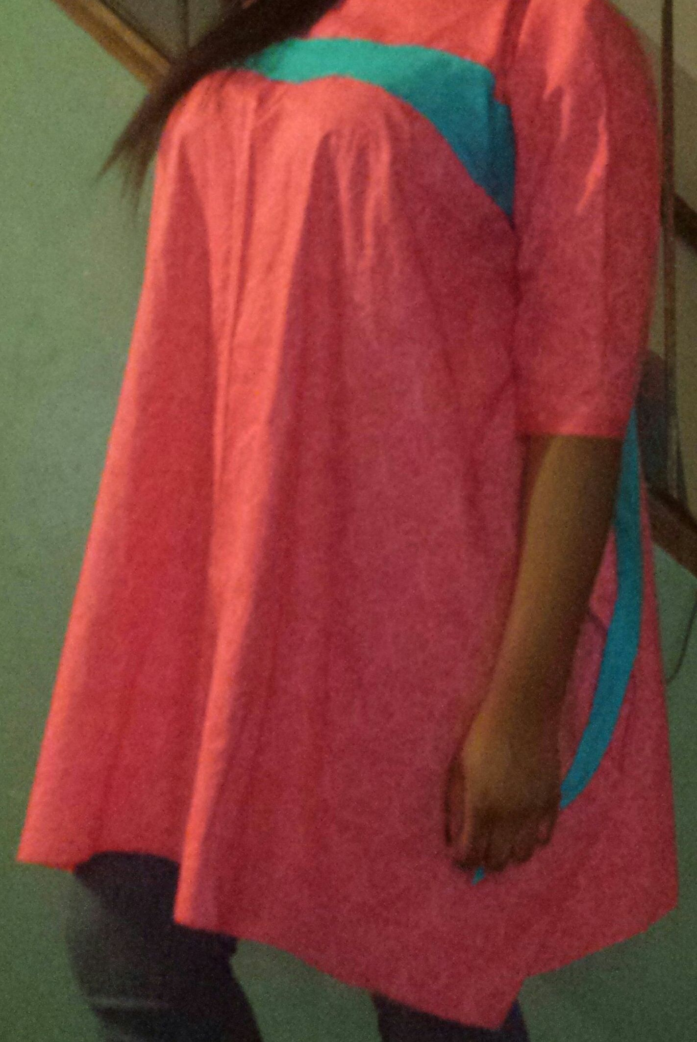 Dress Costume