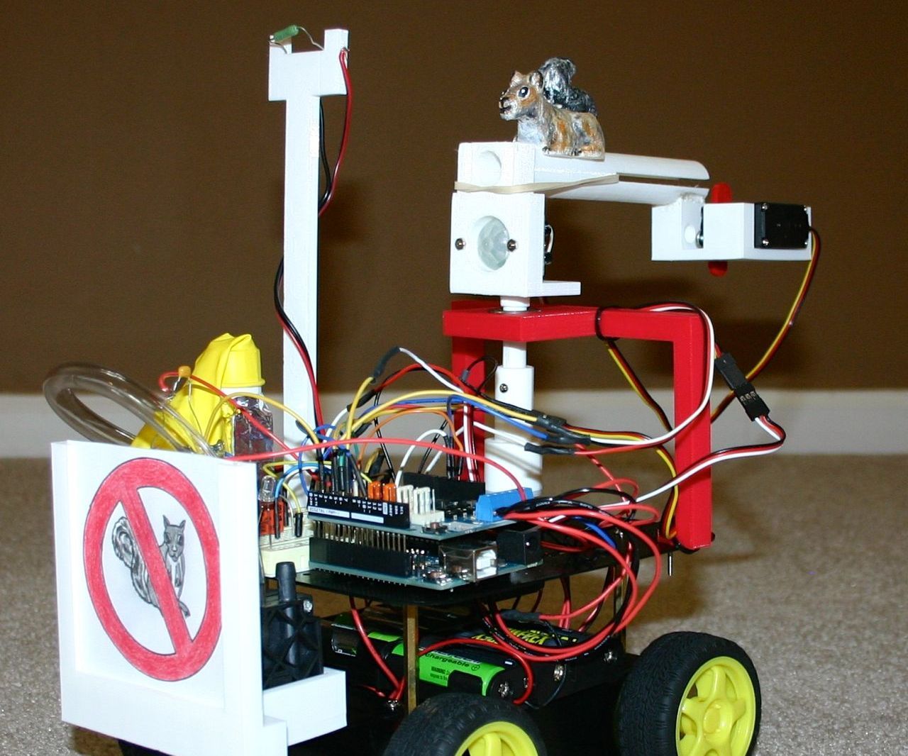 Squirrel Chasing Robot