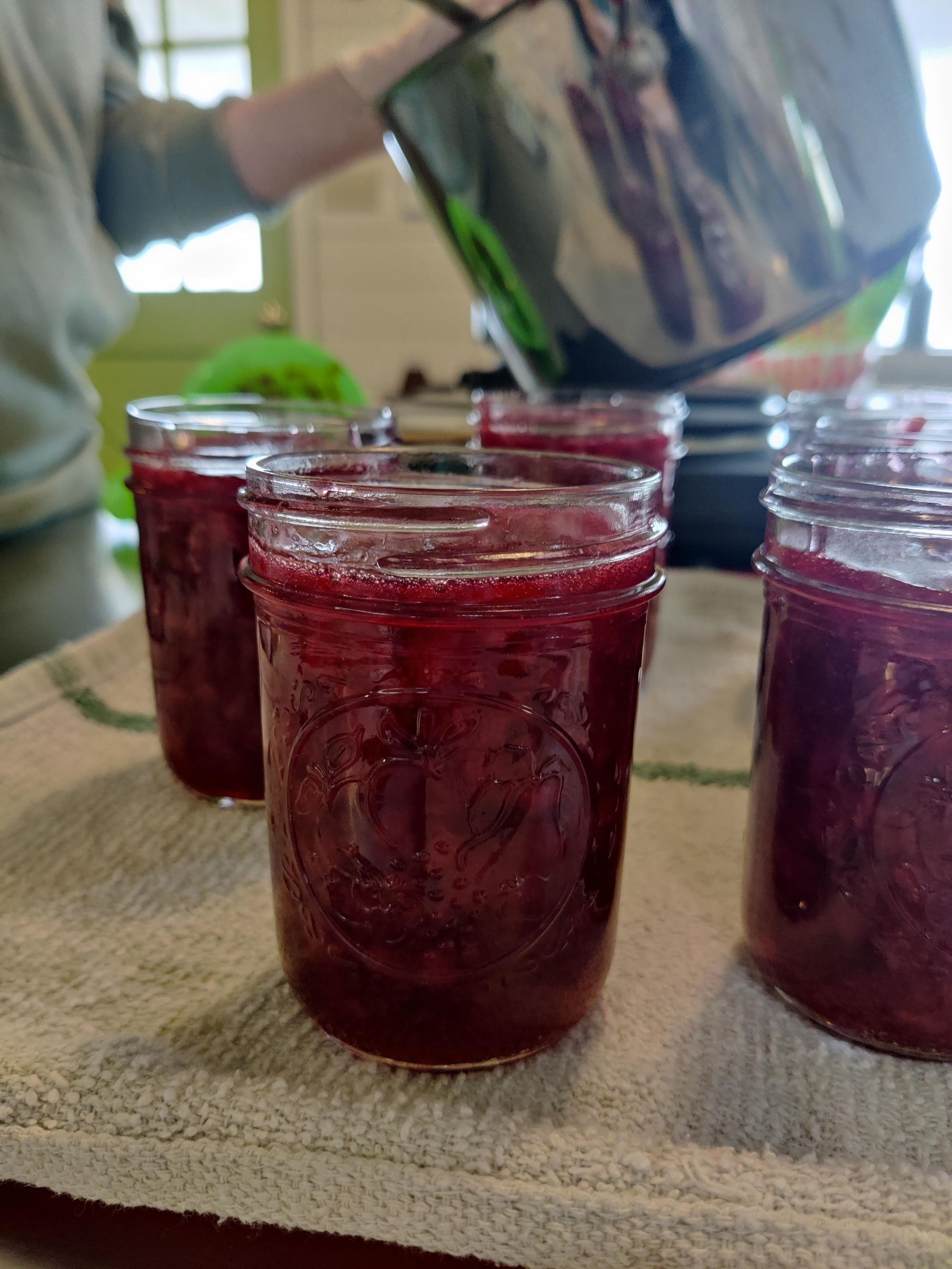 Tart Cherry Jam Beginner Friendly 15 Steps Instructables