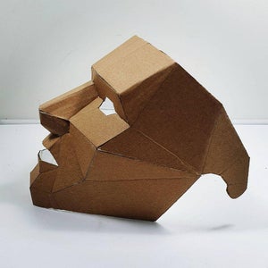 Cardboard Mask