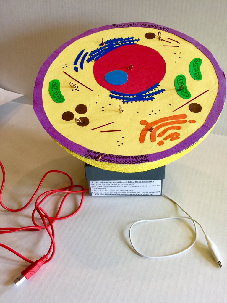 Interactive Cell Model : 28 Steps (with Pictures) Biology Diagrams