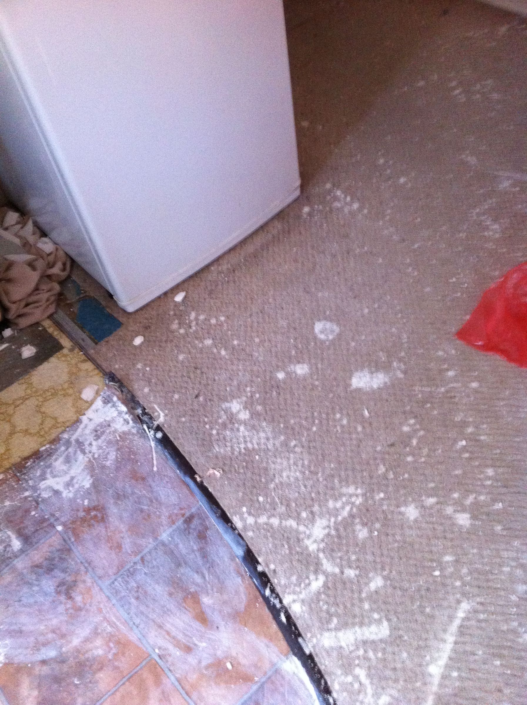 A Whiter, Brighter Vermiculite Ceiling Painting by Roller... 12