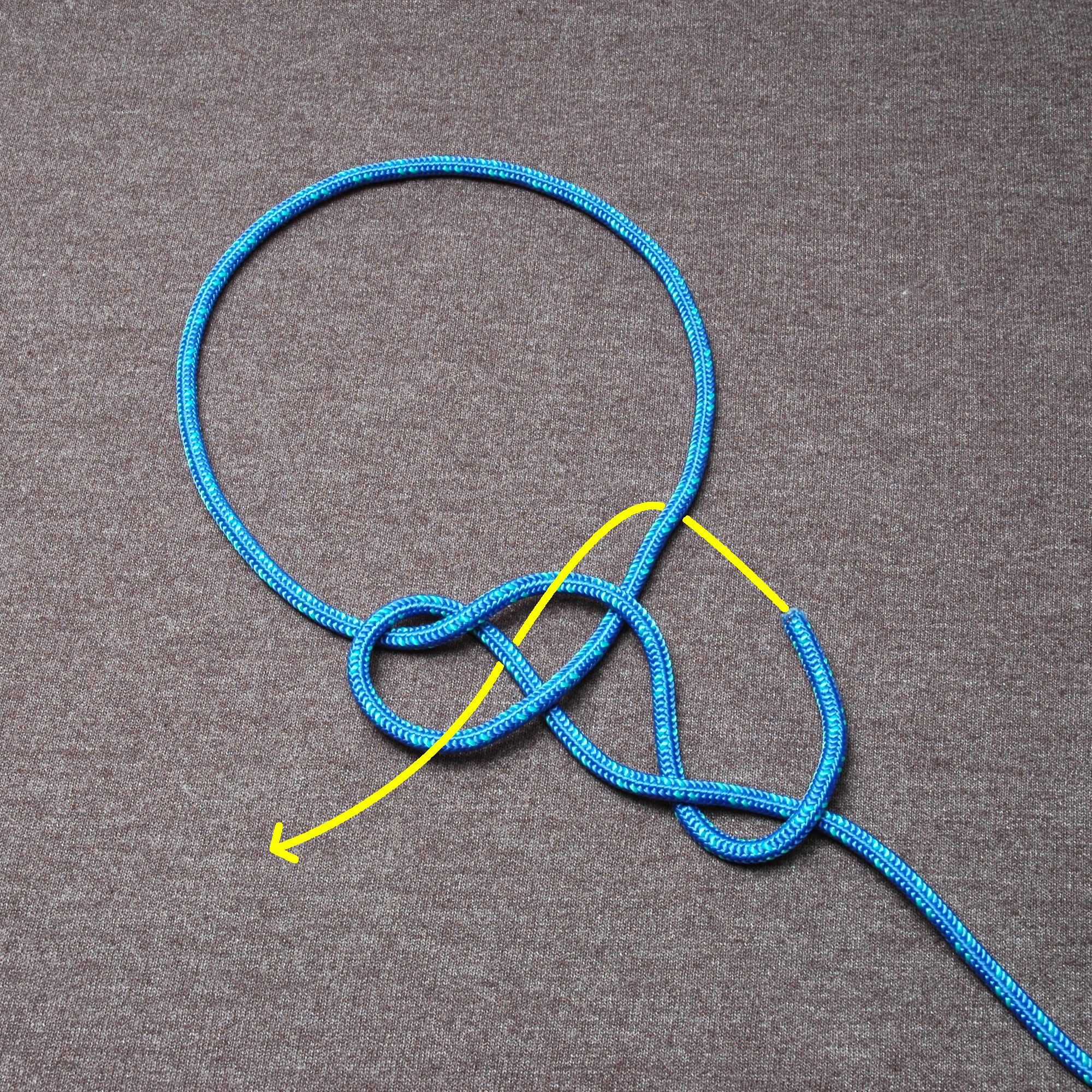Rope Halter With Fiador 10 Steps (with Pictures) Instructables