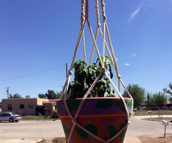 Macrame Plant Hanger