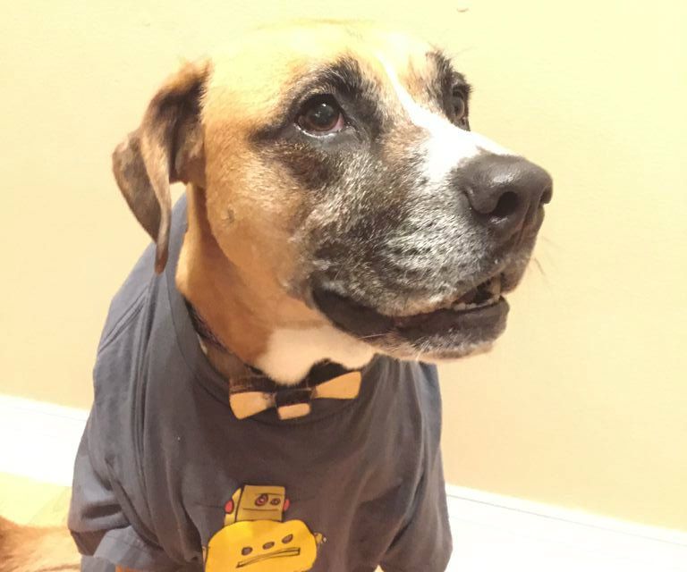 How to Fake a Laser Cut