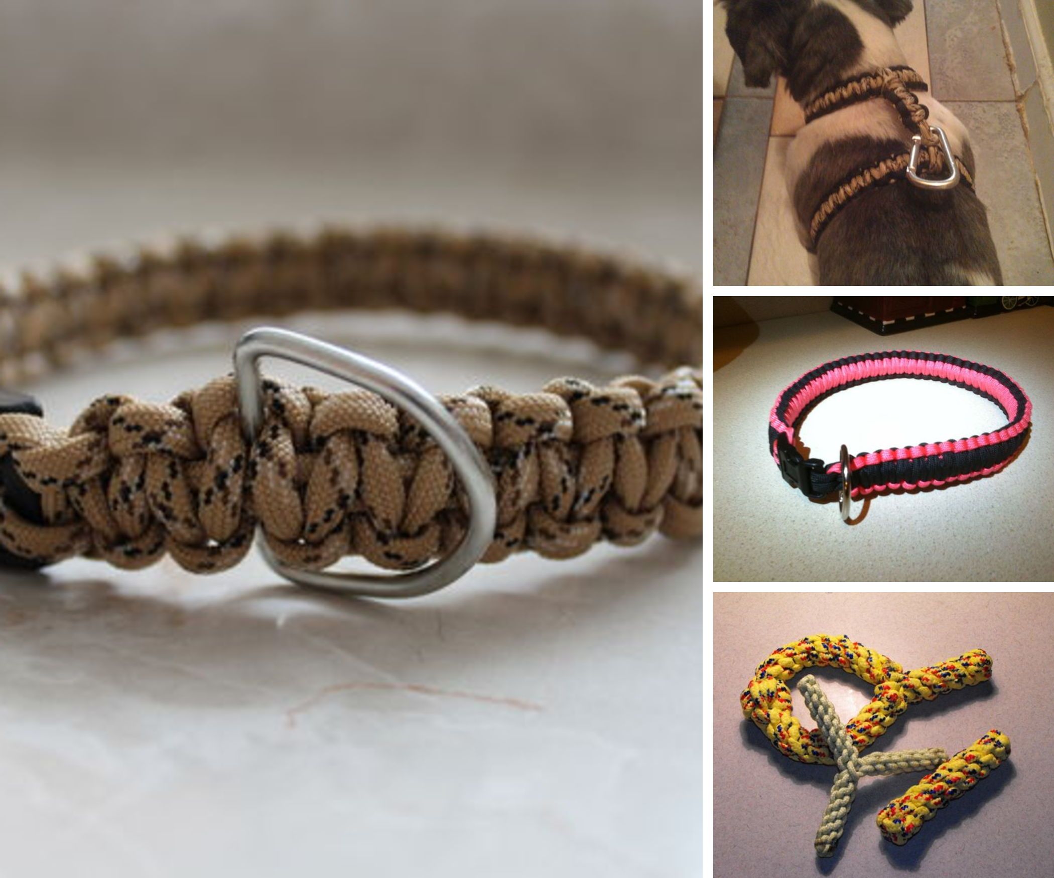 Paracord