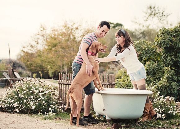 How to Make Your Own Dog Shampoo