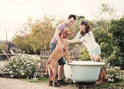 How to Make Your Own Dog Shampoo