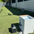 Budget Tennis Ball Launcher for Full-Size Dogs