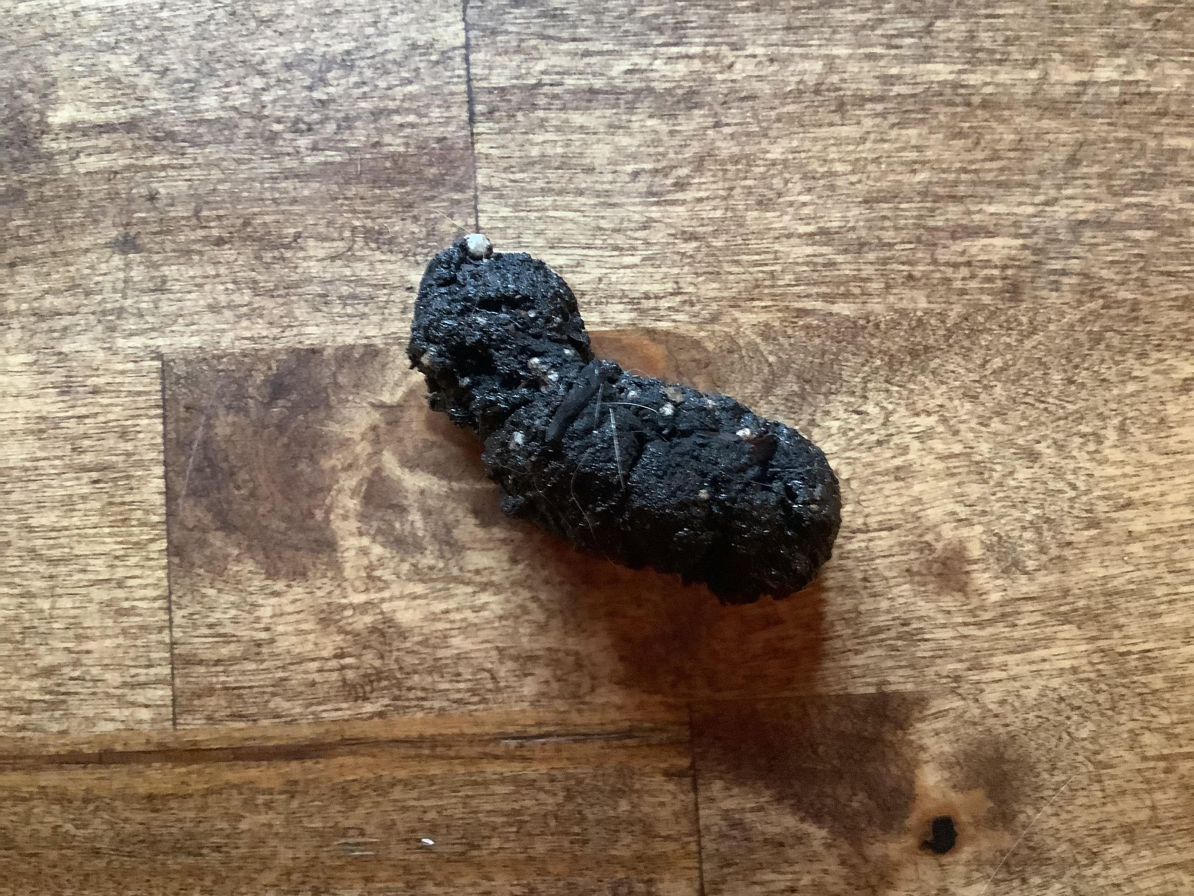 How to Make Realistic Fake Poop : 4 Steps - Instructables