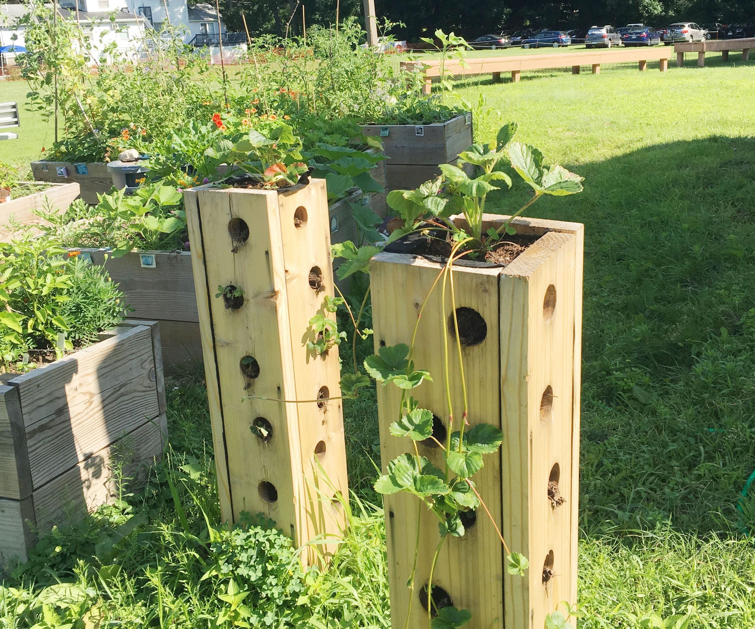 Tech & Engineering Class: Strawberry Towers